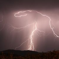 Graham Jarrett Photo 7