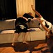 Deborah Emerson Photo 21