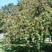 Sharon Lillie Photo 10