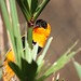 Henry Weaver Photo 13