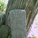 James Shelton Photo 13