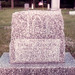 Carrie Johnson Photo 46