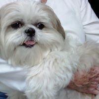 Teddy Allen Photo 11