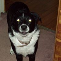Nancy Ketchum Photo 24