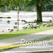 Scott Flood Photo 24