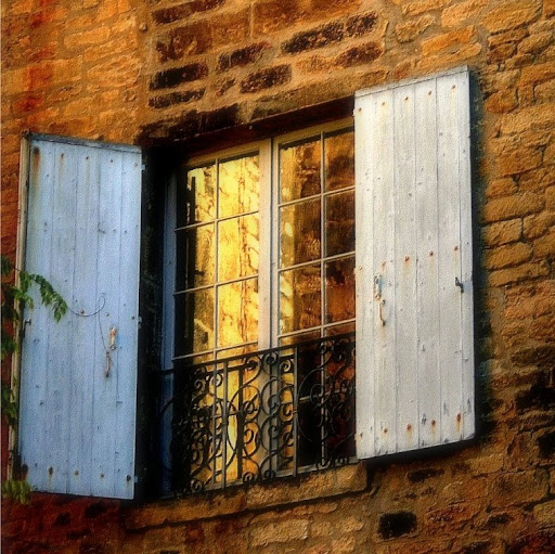 Michele Buss Photo 15