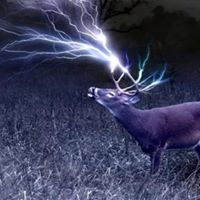 Robert Shumaker Photo 10