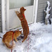 Carolyn Knight Photo 33