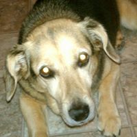 Nancy Busch Photo 14