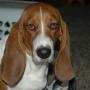 Vickie Reynolds Photo 5