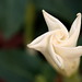 Faith White Photo 6