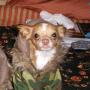 Chris Buster Photo 1