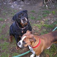 Teri Shepard Photo 9