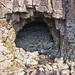 Brenda Cave Photo 15