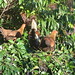 Kimberly Hedges Photo 14