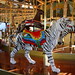 David Spillman Photo 36