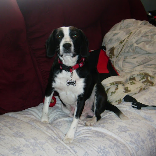 Mandy Wright Photo 19