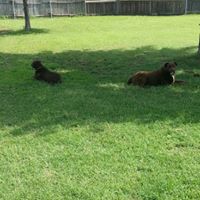Carolyn Staley Photo 21