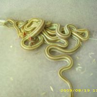 Lee Kiser Photo 7