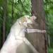 Jill Hamlin Photo 7