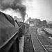 Dale Ward Photo 11