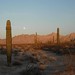 Michael Cabeza Photo 8