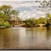 Geneva Mills Photo 8
