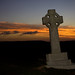 Dawn Cross Photo 19