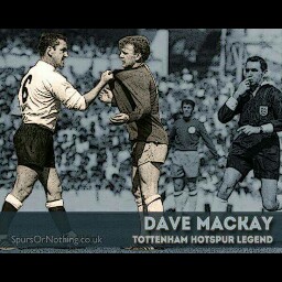 Tony Harrington Photo 12