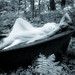 Dana Forrest Photo 15