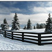 Lisa Winters Photo 6