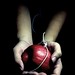Mindy Apple Photo 10