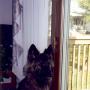 Amy Griffith Photo 35