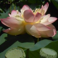 Deborah Latour Photo 2