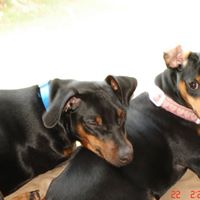 Lacey Winters Photo 4