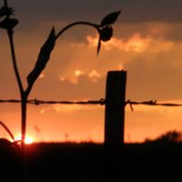 Peggy Wilkerson Photo 20