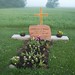 Cathy Graves Photo 11