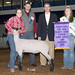 Lawrence Lamb Photo 13