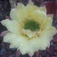 Judith Richter Photo 14