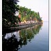 Quoc Ho Photo 16