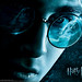 Daniel Potter Photo 19