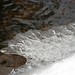 Harold Brooks Photo 46