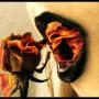 Becky Bonilla Photo 2