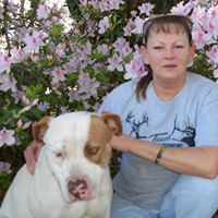 Teresa Houser Photo 17