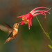 Alan Estep Photo 19