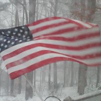 Perry Siegel Photo 12