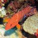 John Stange Photo 9