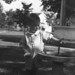 Bobby Addison Photo 7