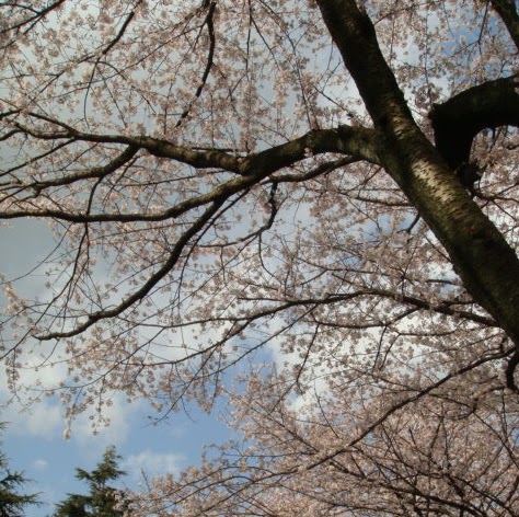 Xin Jiang Photo 18