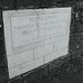 Michael Conway Photo 28